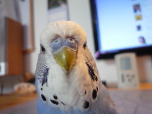 like it into (2).JPG