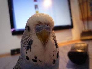 like it into (3).JPG