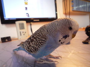 like it into (4).JPG