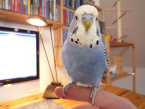 like it into (5).JPG