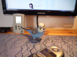 like it into (6).JPG