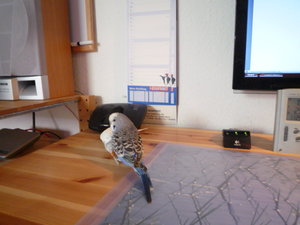 like it into (7).JPG