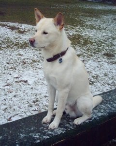 Unbenannt-4 [1600x1200].jpg