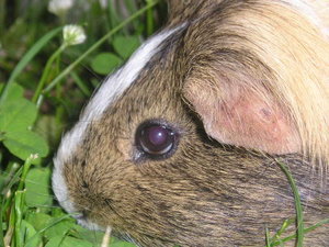 Tommy&MArie (242).JPG