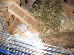 lilly von hinten.JPG