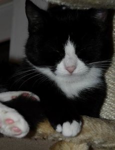 Drehen von GrÃ¶ÃŸenÃ¤nderung P1040199.JPG