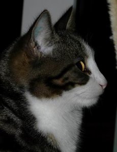 Drehen von GrÃ¶ÃŸenÃ¤nderung P1040201.JPG