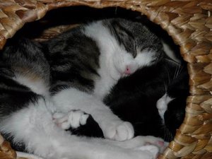 GrÃ¶ÃŸenÃ¤nderung P1040251.JPG