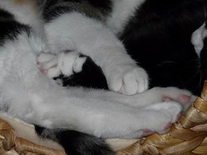 GrÃ¶ÃŸenÃ¤nderung P1040252.JPG