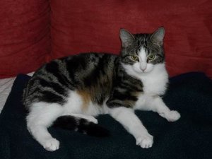 GrÃ¶ÃŸenÃ¤nderung P1040270.JPG