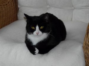 GrÃ¶ÃŸenÃ¤nderung P1040271.JPG