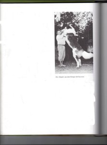 25-12-2009 18;06;35.jpg