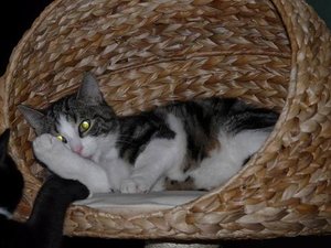 GrÃ¶ÃŸenÃ¤nderung P1040282.JPG