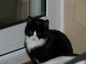 GrÃ¶ÃŸenÃ¤nderung P1040287.JPG