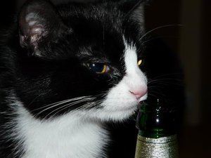 GrÃ¶ÃŸenÃ¤nderung P1040306.JPG