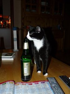 GrÃ¶ÃŸenÃ¤nderung Drehen von P1040307.JPG