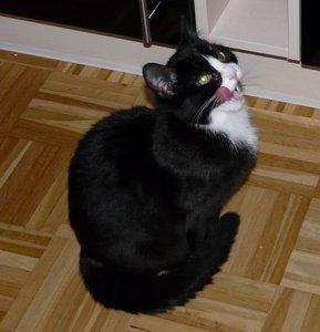 GrÃ¶ÃŸenÃ¤nderung P1040296.JPG