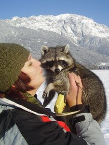 gib mir ein bussi.jpg