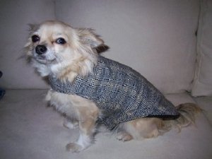 Katis mantel 003.jpg