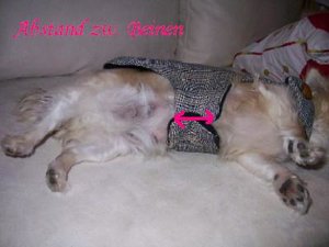 Katis mantel 007.jpg