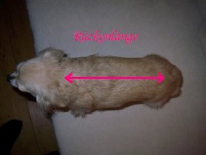 Katis mantel 008.jpg