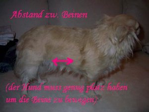 Katis mantel 009.jpg