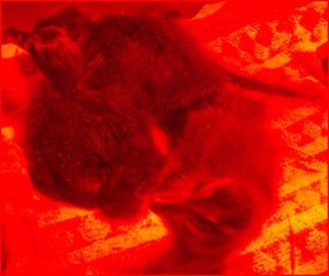 fÃ¼r internet9.JPG