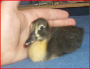 fÃ¼r internet2.JPG