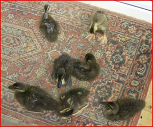 fÃ¼r internet3.JPG