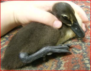 fÃ¼r internet4.JPG