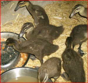 fÃ¼r internet7.JPG