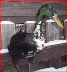 für internet11.JPG für internet11.JPG