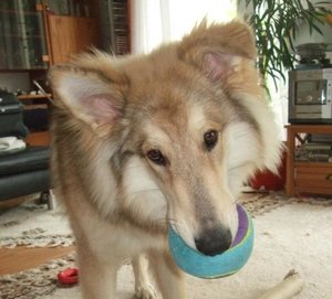 Bitte spiel mit mir 2.JPG