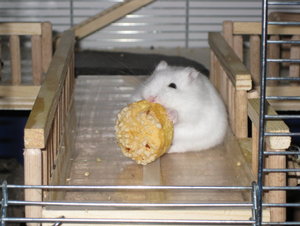 meins meins alles meins.JPG meins meins alles meins.JPG