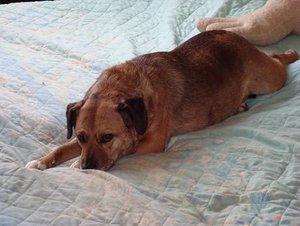 DSC00311.jpg verkleinert.jpg