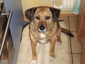 DSC00414.jpg verkleinert.jpg