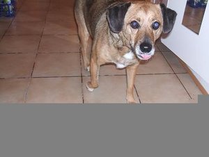 DSCF0944.jpg verkleinert.jpg