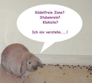 KÃ¶delfreie Zone - Flair.jpg