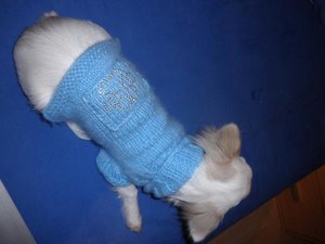 fame pfote tierforum.jpg