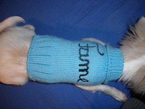 fame fame pulli tierforum.jpg