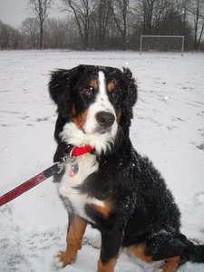 DSC00748 - Kopie.JPG