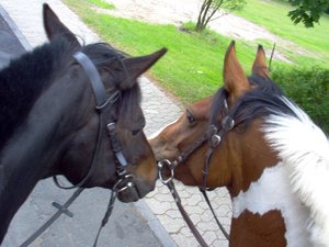 wir mÃ¶gen uns soooneuneu.JPG