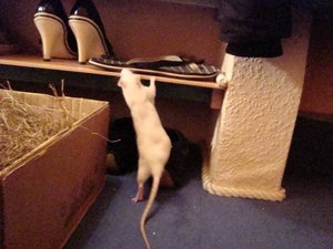 DSC01000.jpg verkleinert.jpg