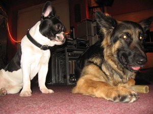 k-rosi&bruce 005.jpg