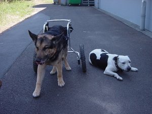 flori und reeny 1.JPG