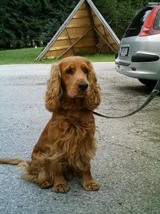 Aufgezeichnet 2005-3-8 00010.JPG