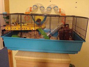 DSC01084.jpg verkleinert.jpg