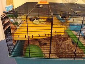 DSC01085.jpg verkleinert.jpg