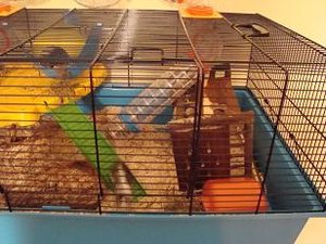 DSC01086.jpg verkleinert.jpg