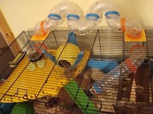 DSC01087.jpg verkleinert.jpg